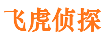 临渭市私家调查